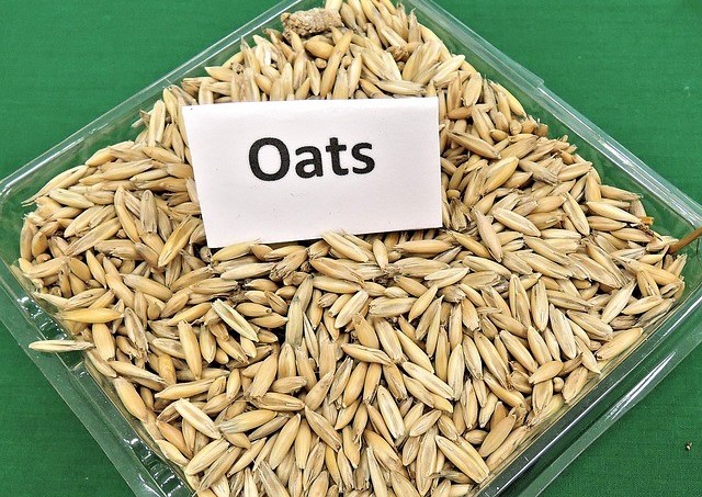 Oats