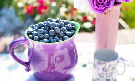 Blueberry and Yogurt Smoothie w/ Cinnamon & Oats