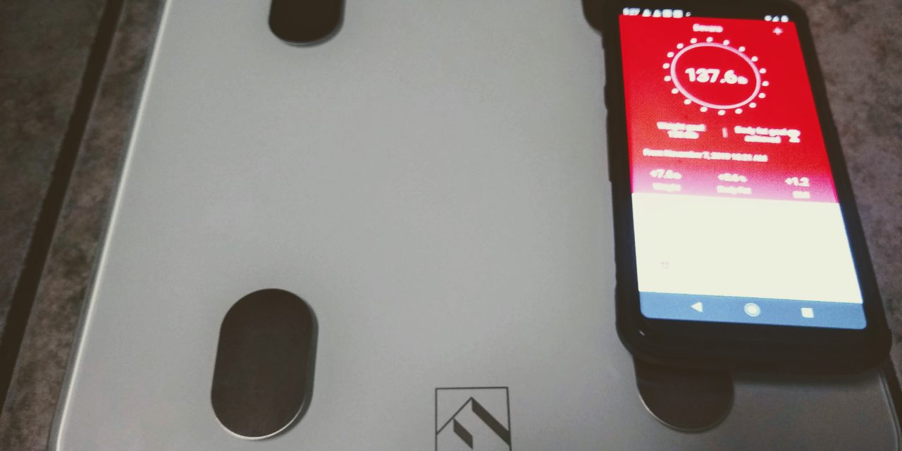FitIndex Smart Scale Review – A TOP Seller!