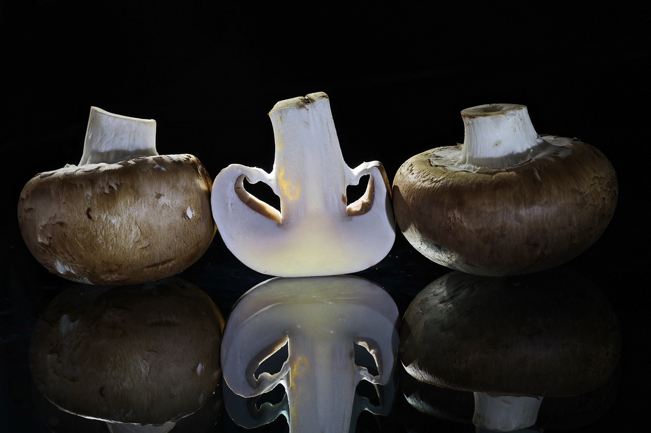 What is Mushroom Complex?