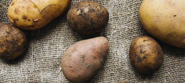 Sweet potato vs white potato